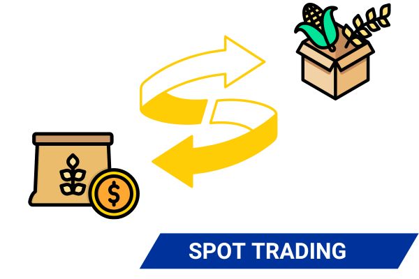 Spot Trading